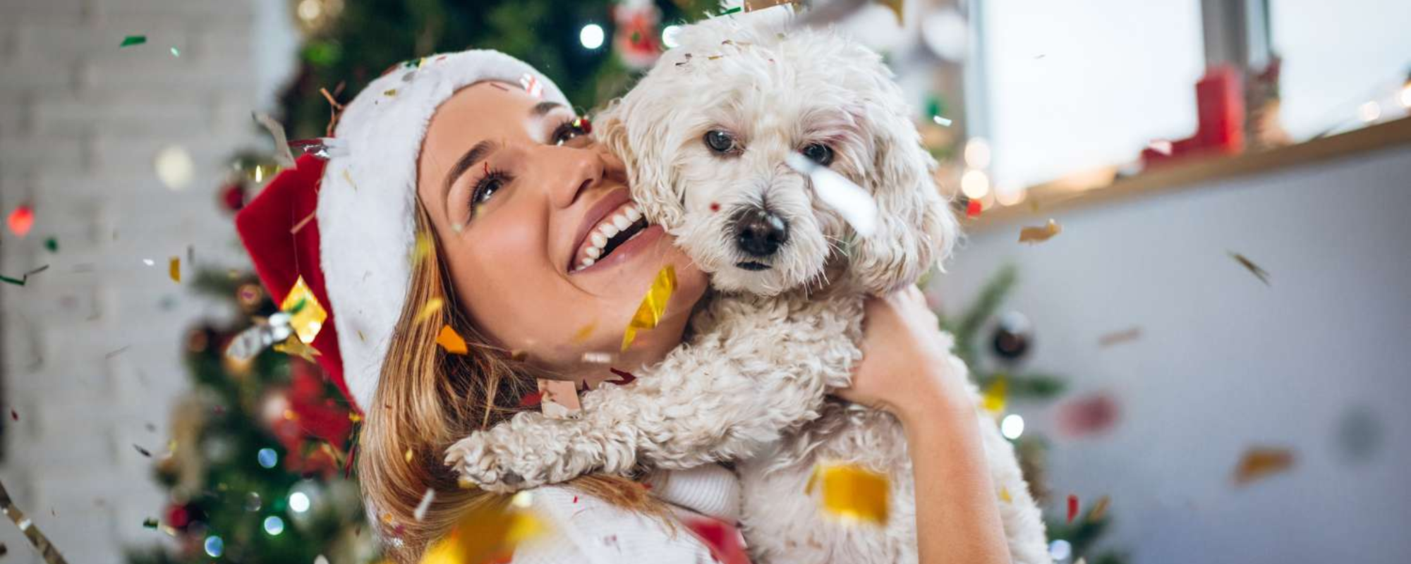 10 Fun and Safe Christmas Activities to Do with Your Pets