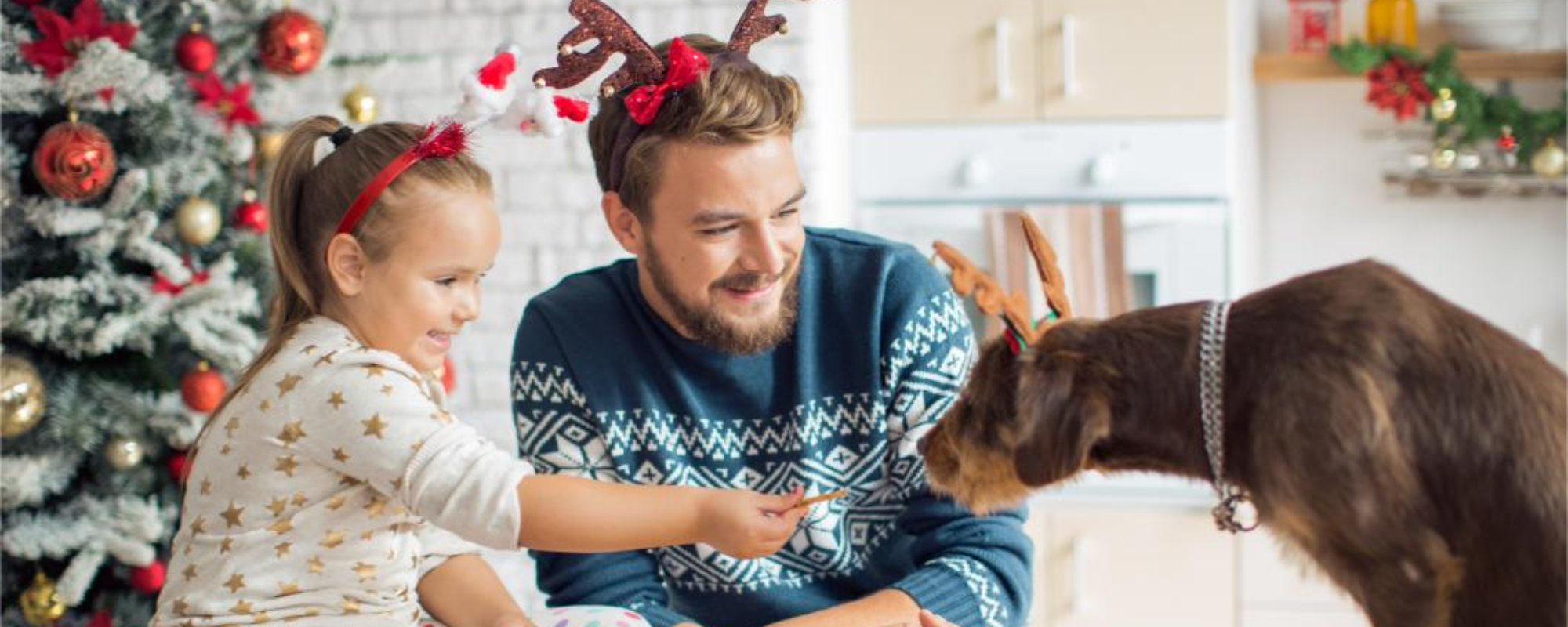Pet-Friendly Christmas Recipes Holiday Treats for Cats, Dogs, and Small Animals