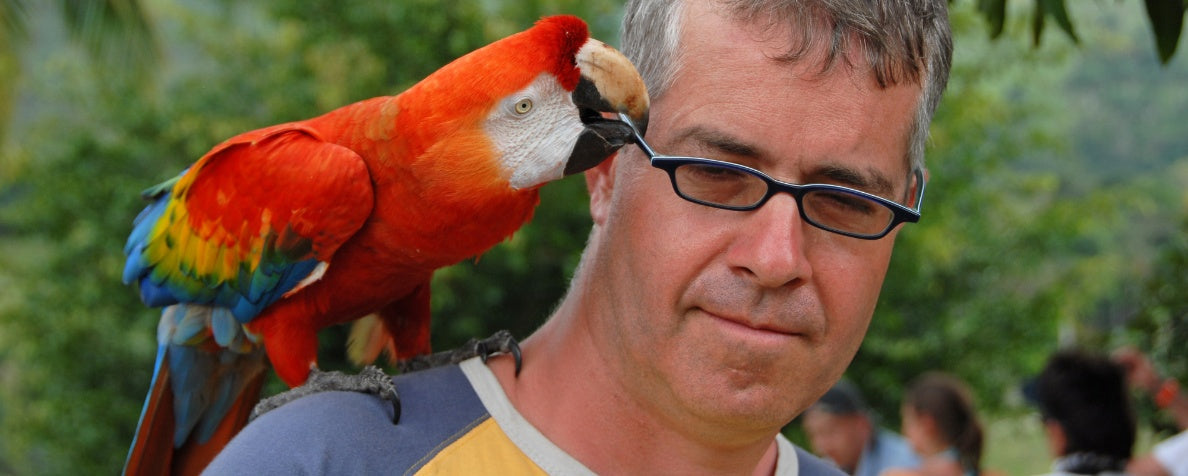 Step-by-Step Guide to Shoulder Training Your Parrot