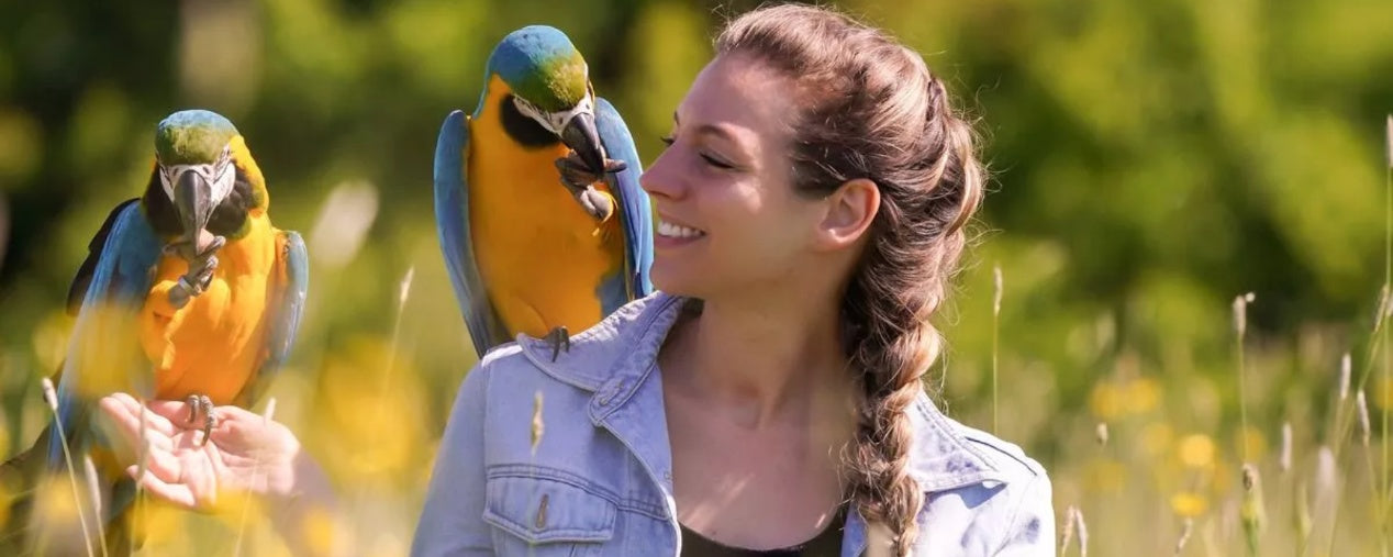 Cherishing Your Senior Bird: Love and Care in Their Later Years