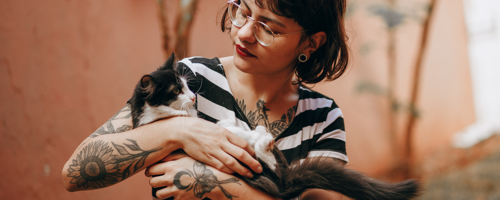 Building a Stronger Bond: 6 Effective Ways to Connect with Your kitten