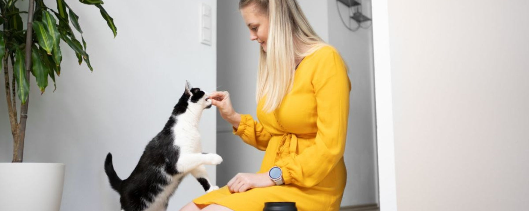 Why Your Cat Won’t Leave Your Side: Exploring Feline Behavior