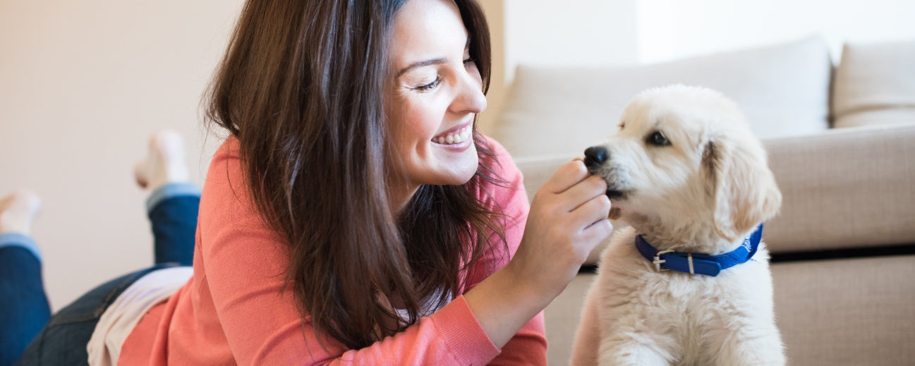 10 Ways to Show Your Puppy Love and Build a Lasting Connection