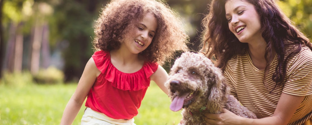 7 Creative Brain Games to Stimulate and Entertain Your Dog