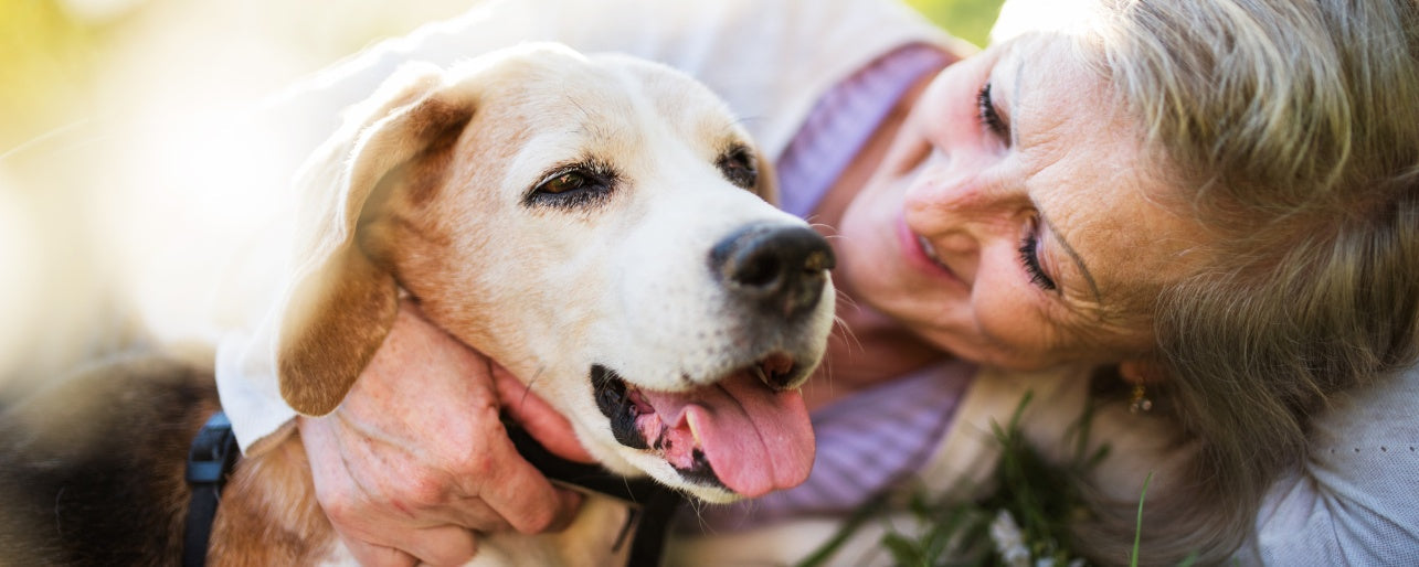 Caring for Older Dogs: 5 Surprising Tips You Need to Know