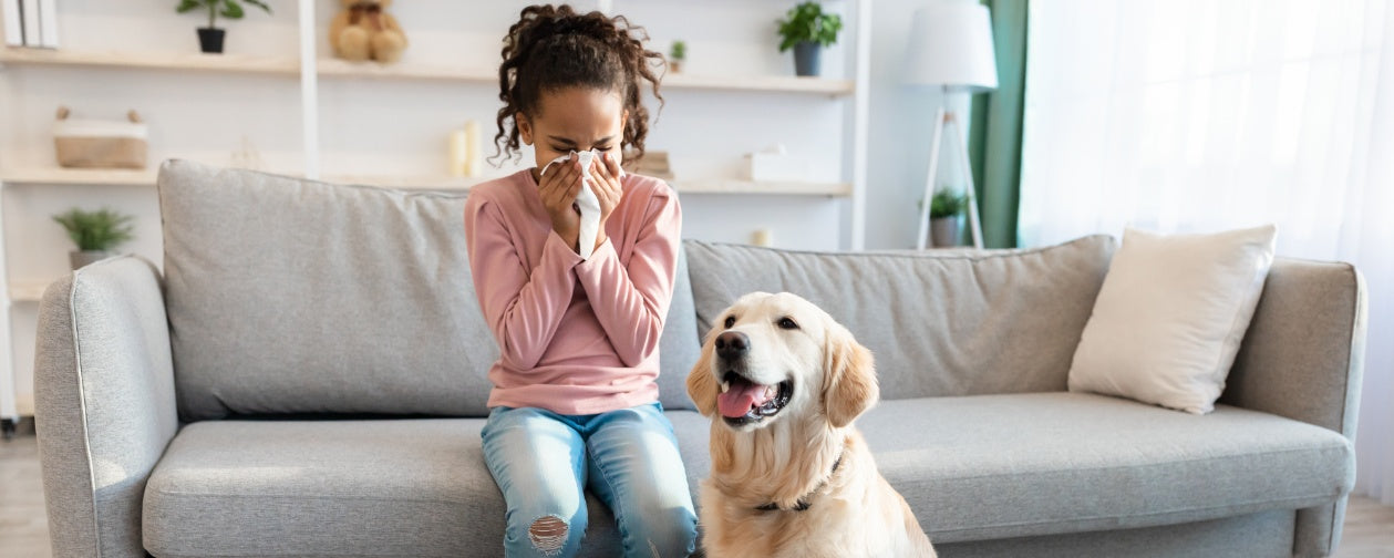 Natural Solutions for Dog Allergies: Simple Steps to Relief