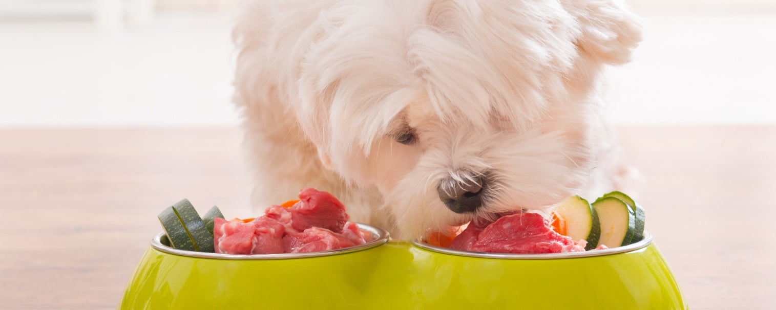 Organic Dog Food: Is the Extra Cost Worth the Health Benefits?