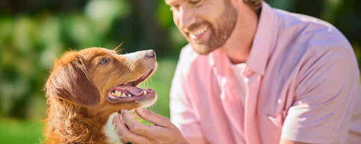 Tackling 10 Common Dog Behavior Challenges with Ease