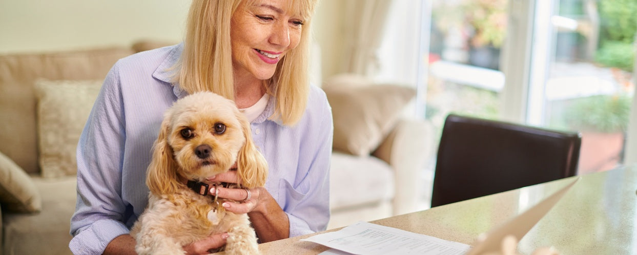The Benefits of Getting Insurance for Your Dog