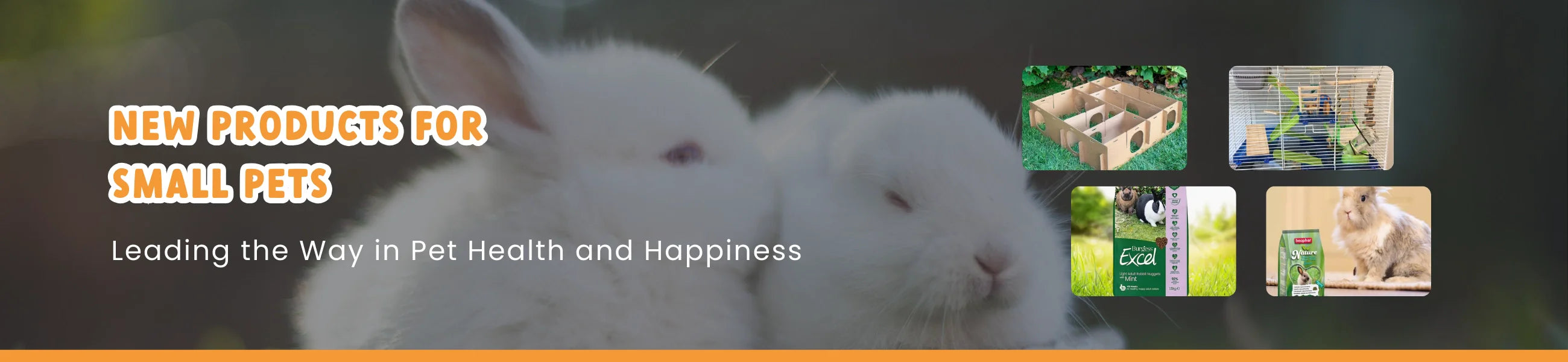 New Products For Small Pets