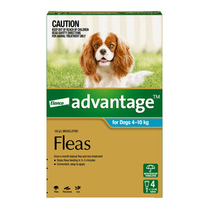 Elanco Advantage flea treatment packaging for dogs with a dog on the grass in the background at Petservo.