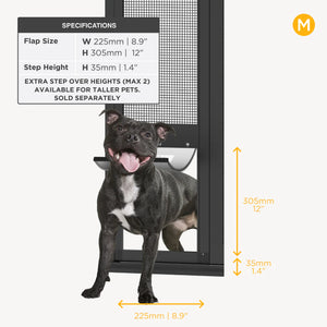 Dog standing next to a pet door with dimensions displayed