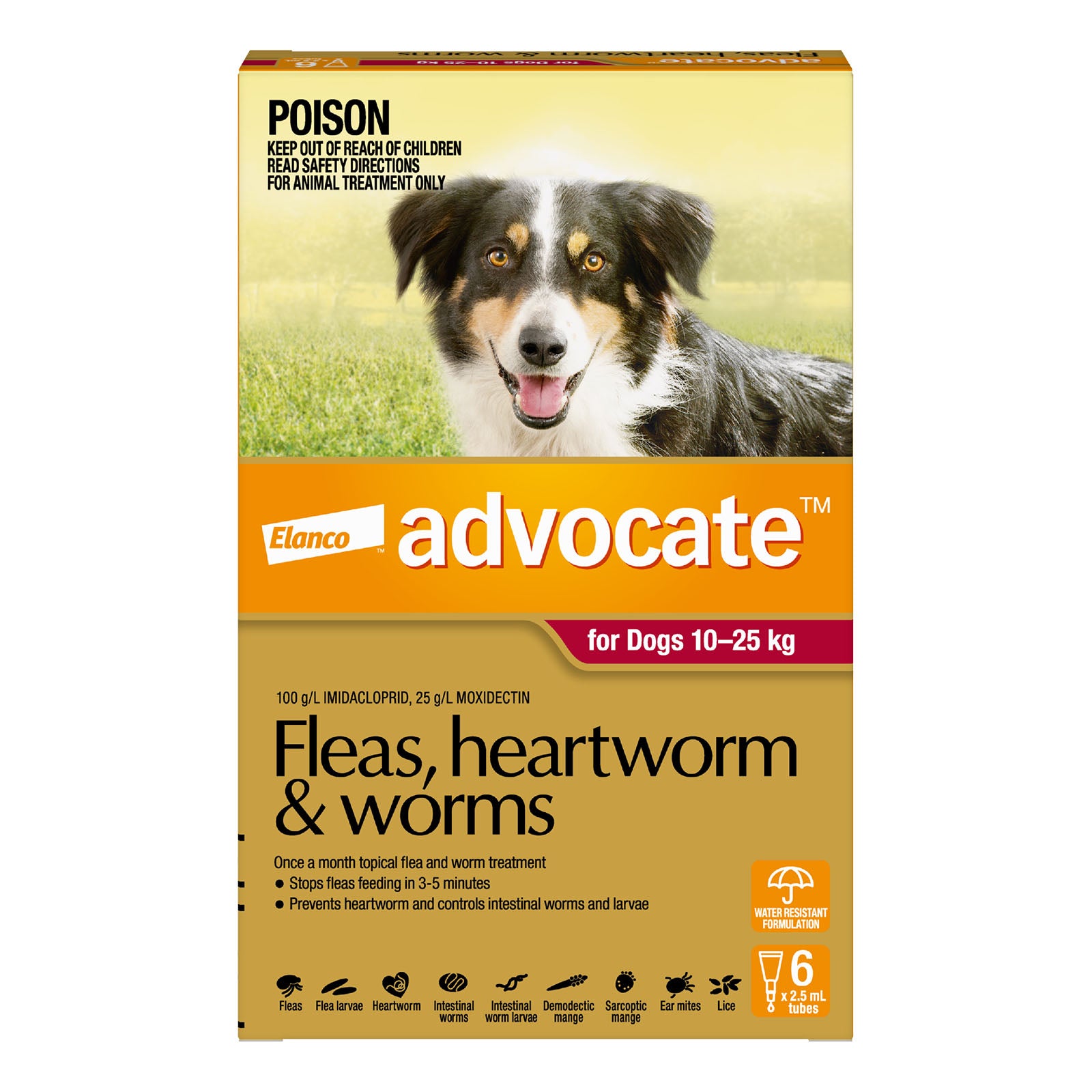 Advocate flea, heartworm, and worm treatment for dogs packaging with a dog on the label at Pet Servo