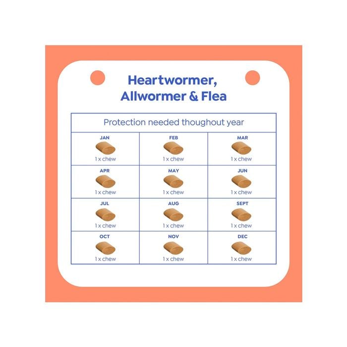 Purina Total Care Small Dogs Heartwormer Allwormer And Flea Control Tasty Chew