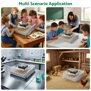 Collage of a孵化器 (hatchery) in various educational and farm settings with children and teachers.