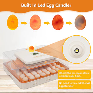 Egg incubator with built-in LED egg candler on a wooden surface