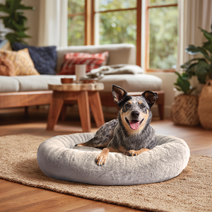 Dog lying on a fluffy pet bed in a cozy living room with a couch and plants.