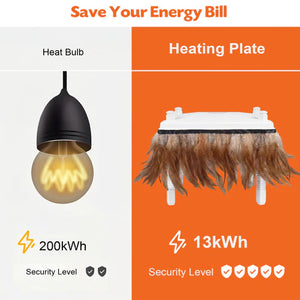 Comparison of heat bulb and heating plate with energy consumption and security level indicators at Pet Servo