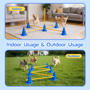 Dog agility training setup with blue cones and yellow ropes indoors and outdoors.