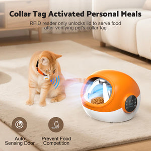 Shop Advwin - RFID Microchip Automatic Cat Feeder with Collar at Pet Servo