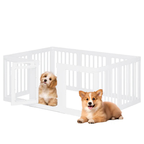 Two dogs inside a white pet crate on a white background at Pet Servo