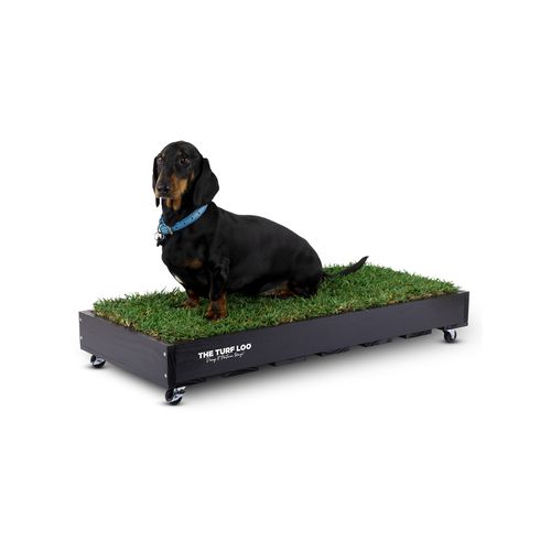 The Turf Loo - Pet Training Turf Loo
