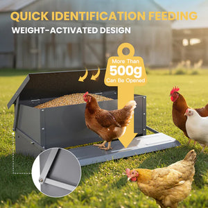 Chicken feeder with chickens around, highlighting weight-activated design feature at Pet Servo