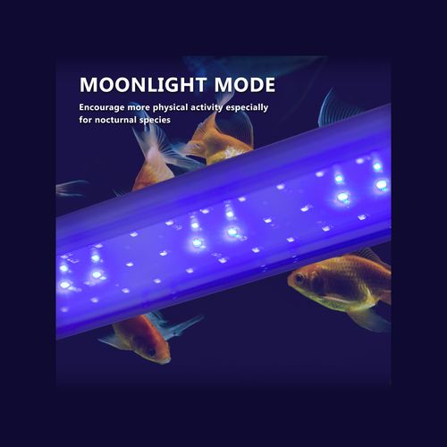 Dynamic Power - 33W Aquarium Blue White LED Light for Tank 120-140cm - petservo-4