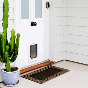 White door with a pet door, cactus plant, and doormat on a white floor.
