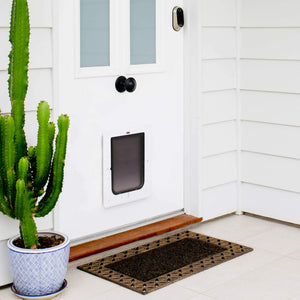 White door with a pet door, cactus plant, and doormat on a white floor.