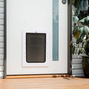 Pet door on a white door with a plant to the right