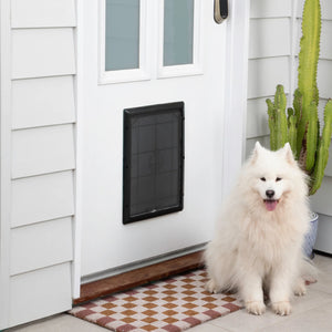White dog sitting in front of a pet door on a white Small Essential Pet door with a cactus plant in the background at Pet Servo