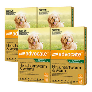 Four boxes of Advocate for puppies and small dogs on a white background at Pet Servo
