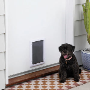 Dog sitting on a mat in front of a pet door with a cactus plant in the background at Pet Servo