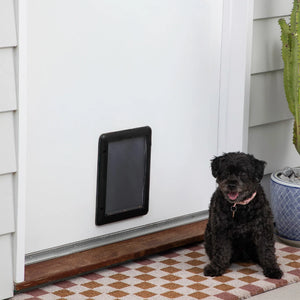 Dog sitting next to a pet door on a house exterior