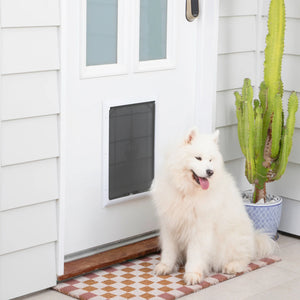 White dog sitting on a mat in front of a white door with a pet door, next to a potted cactus.