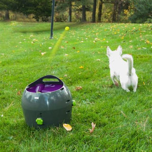 Petsafe - Automatic Ball Launcher Dog Toy - petservo