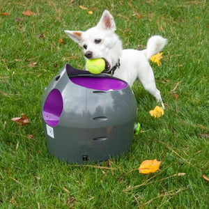 Petsafe - Automatic Ball Launcher Dog Toy - petservo