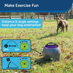 Petsafe - Automatic Ball Launcher Dog Toy - petservo