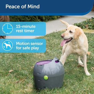 Petsafe - Automatic Ball Launcher Dog Toy - petservo