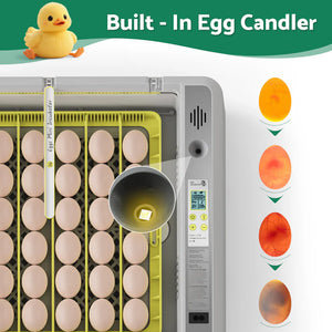 Egg incubator with built-in egg candler and chick growth stages diagram.