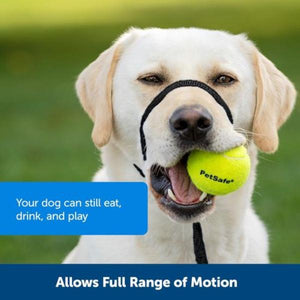 PetSafe - Easy Walk® Headcollar, No-Pull Dog Collar - Pet Servo