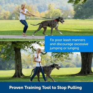PetSafe - Easy Walk® Headcollar, No-Pull Dog Collar - Pet Servo