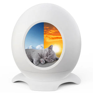 Buy Advwin Electric Smart Heated & Cooling Bed for Cat at Pet Servo