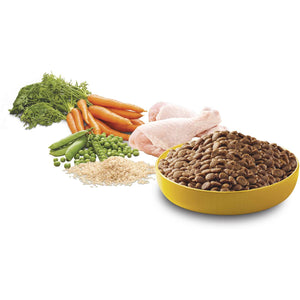 Pedigree - Puppy Dry Dog Food Chicken With Rice 2.5kg - Petservo