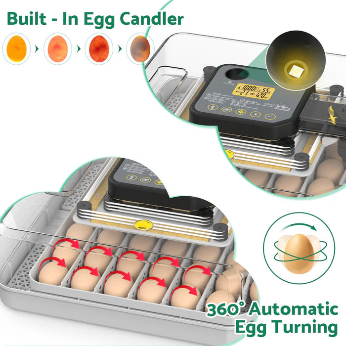 Egg incubator with built-in egg candler and 360-degree automatic egg turning feature.
