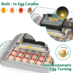 Egg incubator with built-in egg candler and 360-degree automatic egg turning feature.