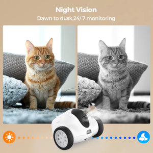 Two cats on a couch with a small robot device in front, labeled 'Night Vision' and 'Dawn to dusk, 24/7 monitoring' at Pet Servo