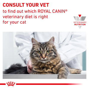 Royal Canin - Veterinary Diet Renal Fish Adult Wet Cat Food 85g x 12 - Petservo