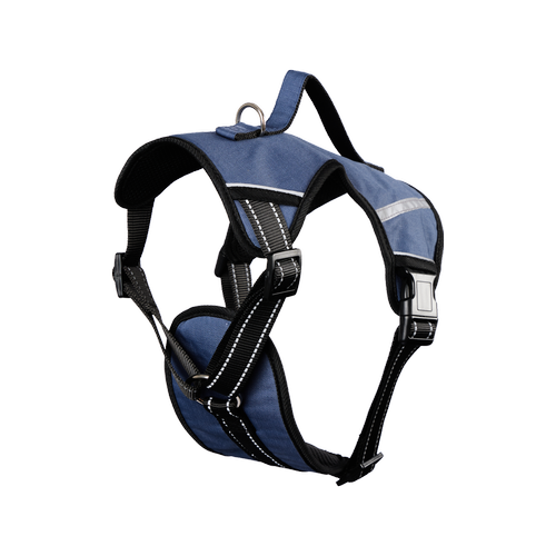 Aldi dog harness how to use sale